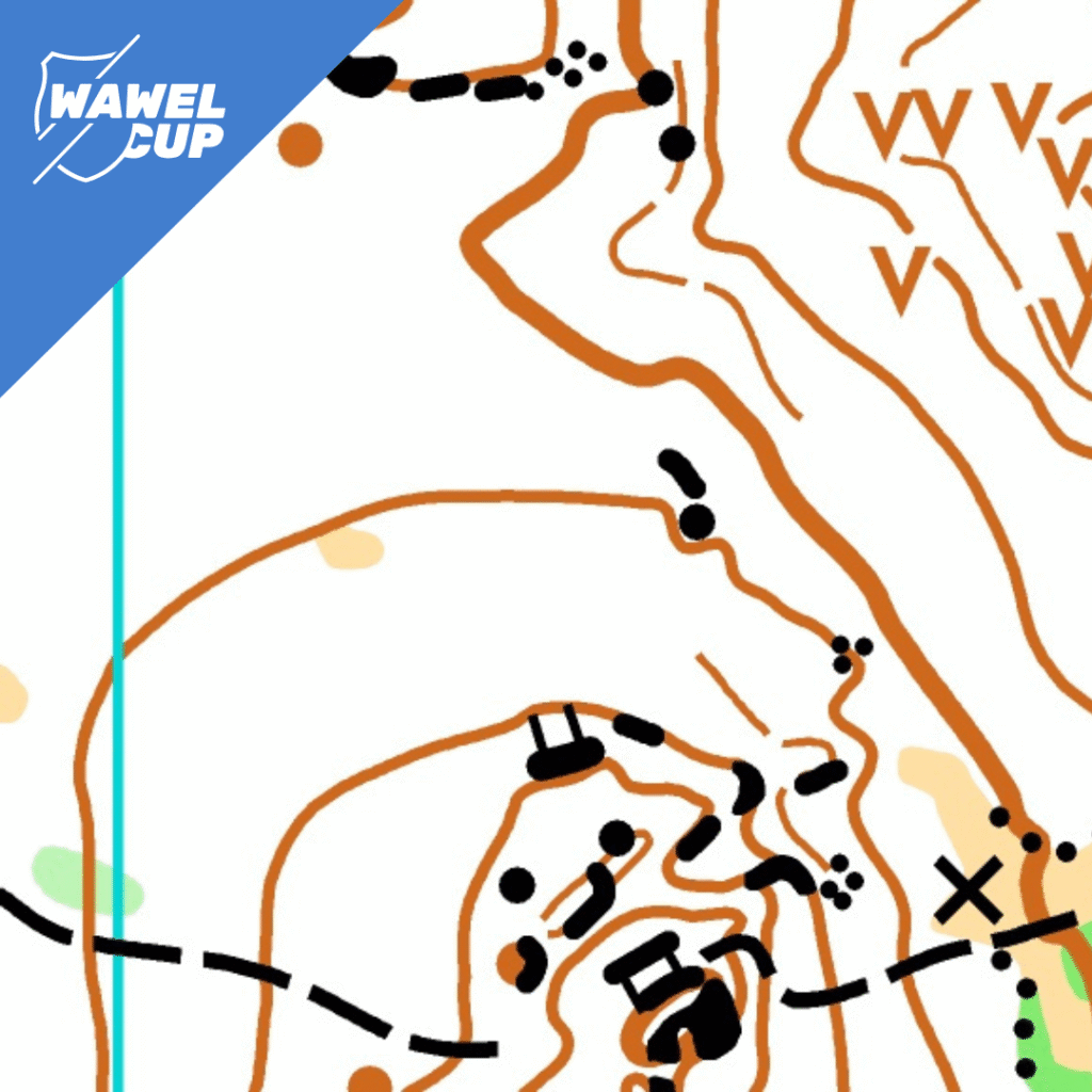 Grafika Strona WawelCup (10)